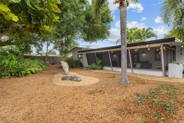 Back yard