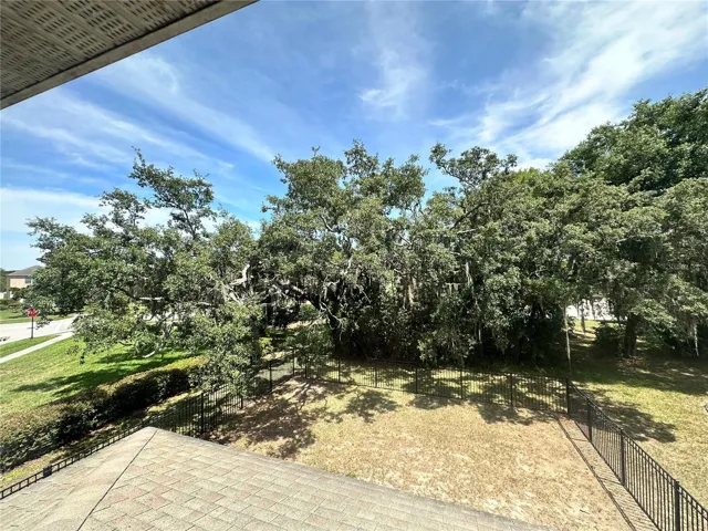 back yard