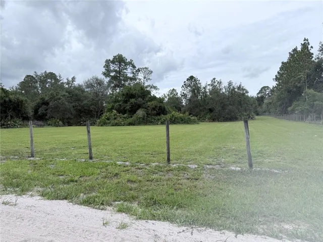 Neighboring Lot