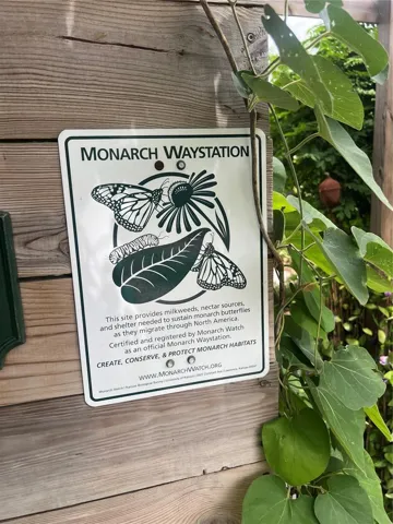 Butterfly Garden Next Door