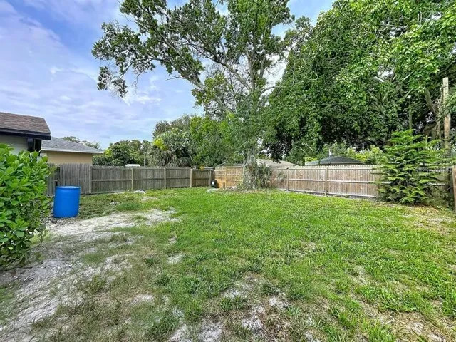 Backyard