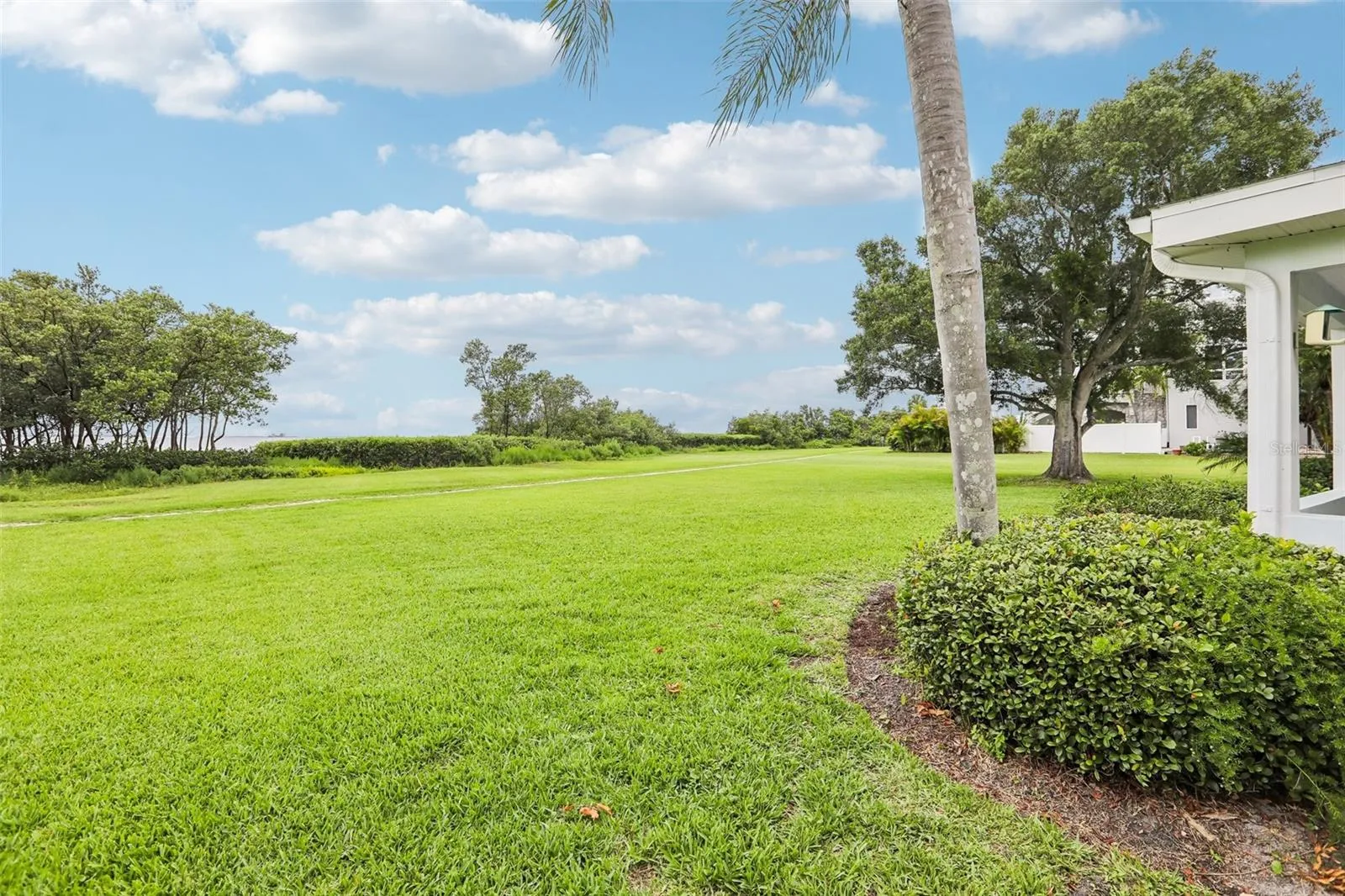 Side yard