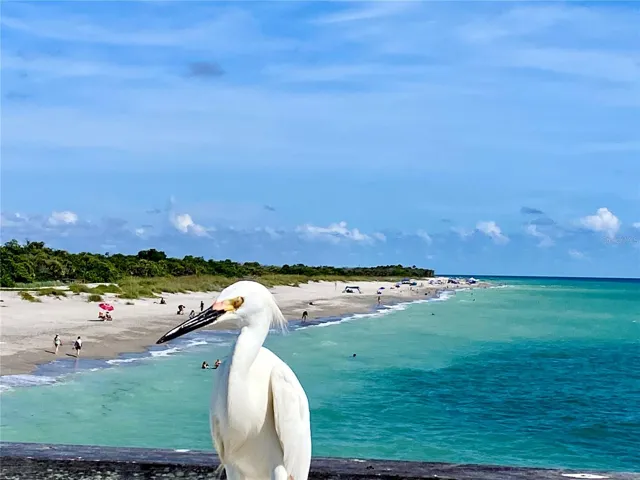Wildlife galore