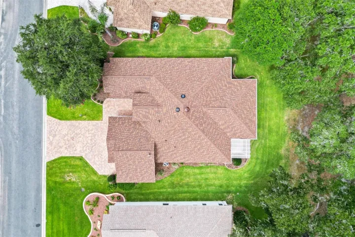 Drone View