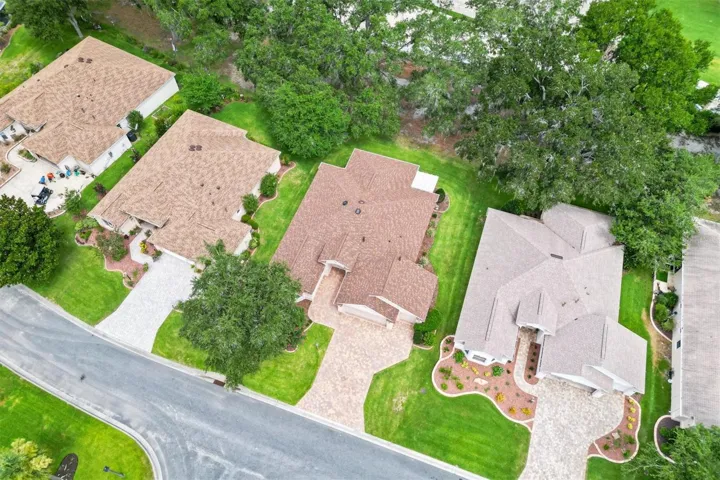 Drone View