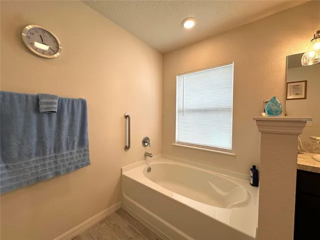 Separate Tub in the Master Bathroom