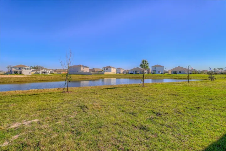 Pond view