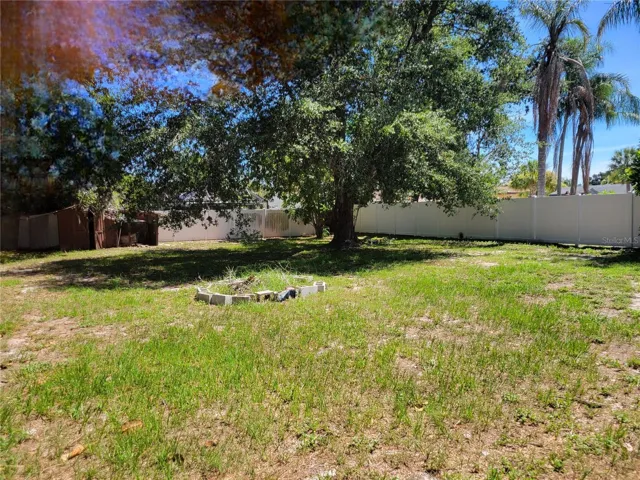 Back Yard