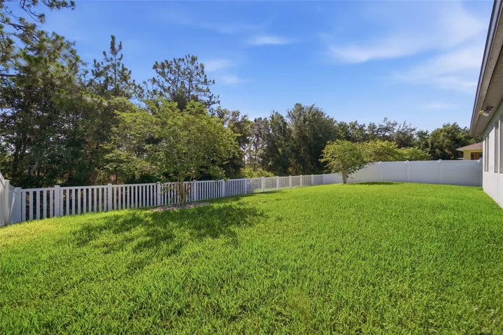 Oversized Fenced Yard