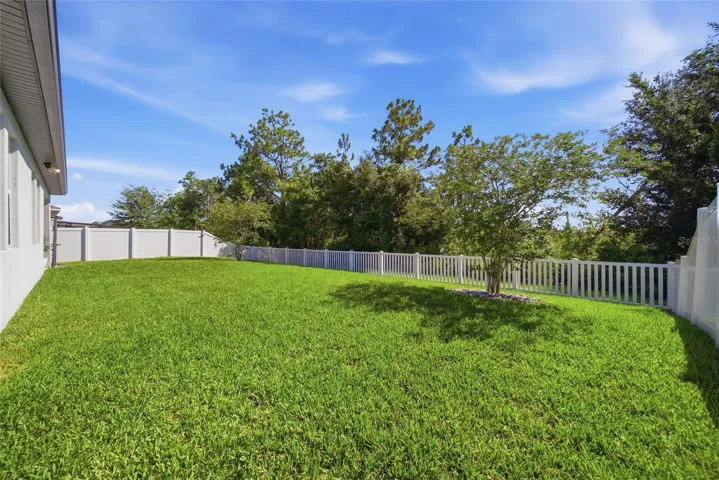 Large Fully Fenced Backyard with Beautiful Conservation Views