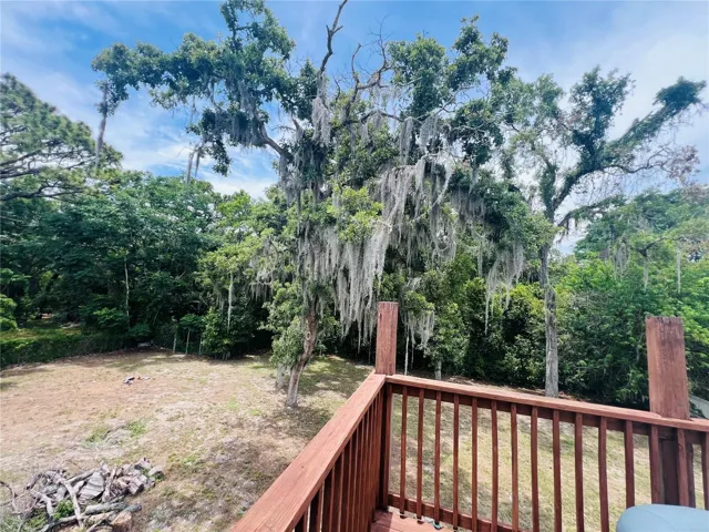 VIEW FROM UPPER DECK OF BACK YARD