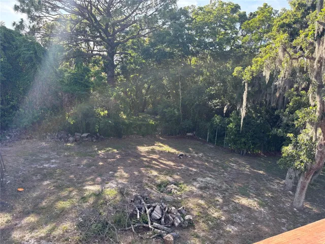 BACK PROPERTY