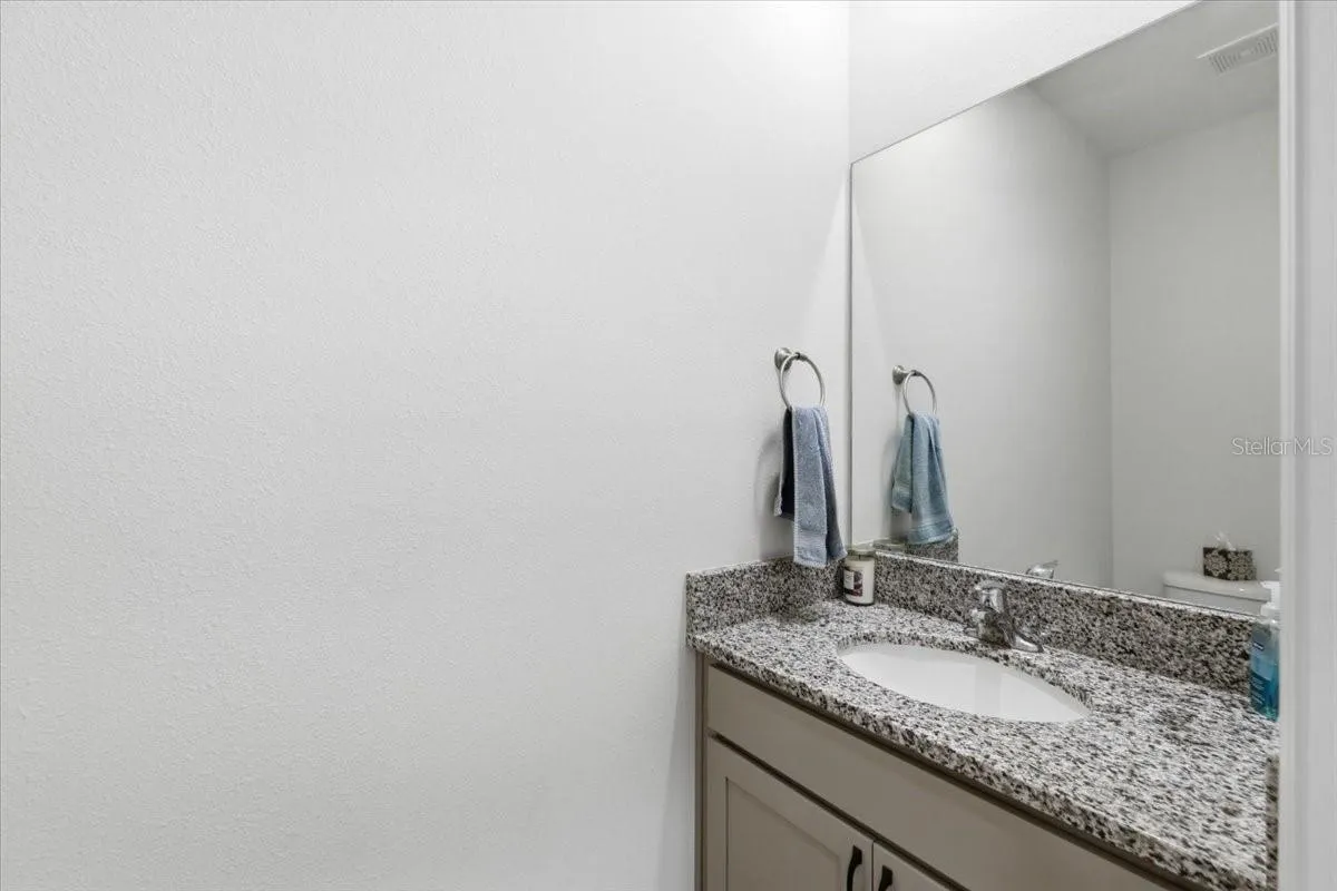 1413 Tropical Oasis Ave, Plant City, Florida 33565 — photo 25