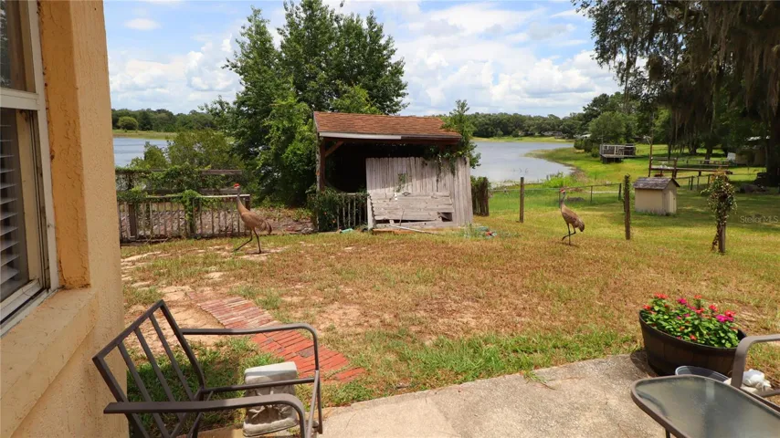 to patio frequented by sandhill cranes!!