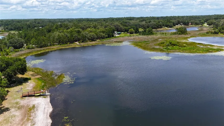 on a beautiful forest lake...