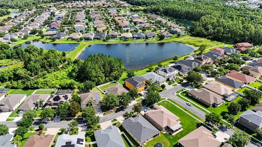 Aerial view of Live Oak Preserve showing neighborhood pond, mature tree canopy, and residential streets in Hillsborough County, Tampa FL 33647