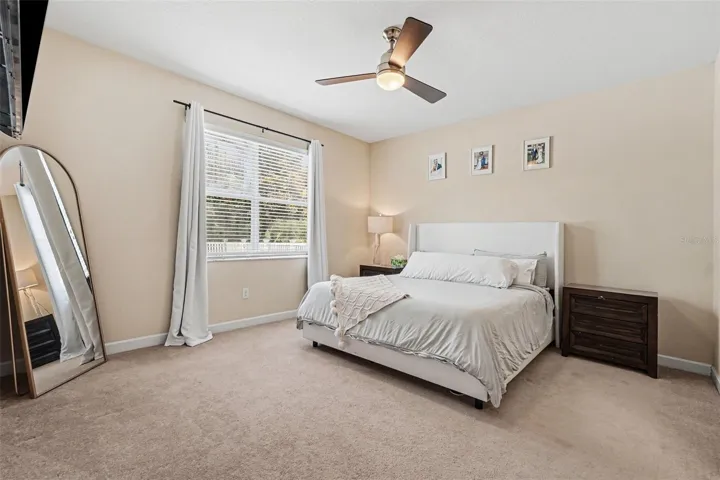 Spacious primary bedroom suite with natural light, ceiling fan, and window with backyard view in Tampa FL 33647. Walk in closet and en suite to the right (not visible)