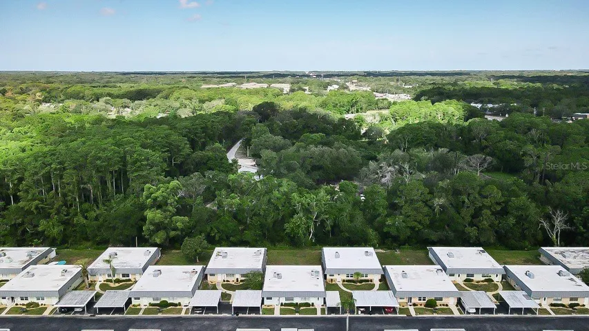 Aerial Greenbelt View