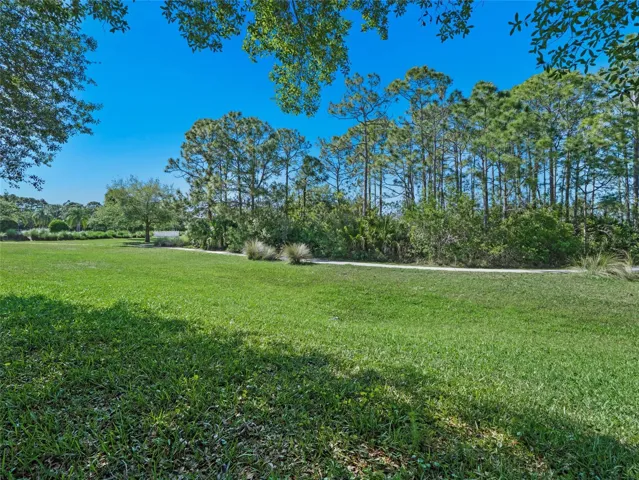 Open yard with room for outdoor activities