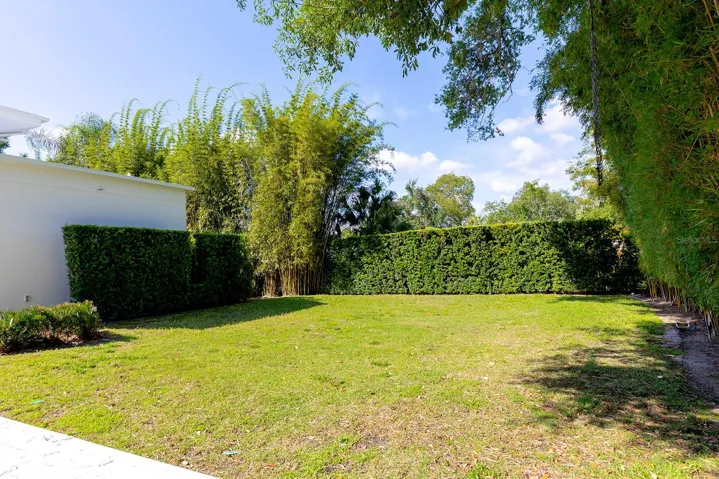 Backyard