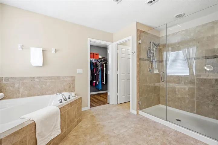 Primary Shower & Tub