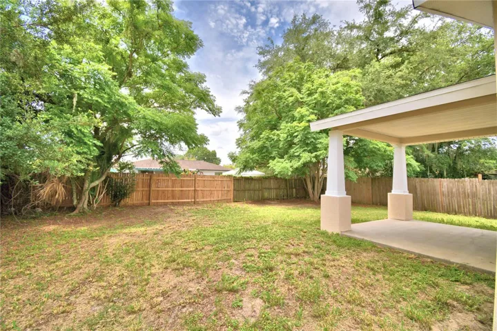 Back yard view