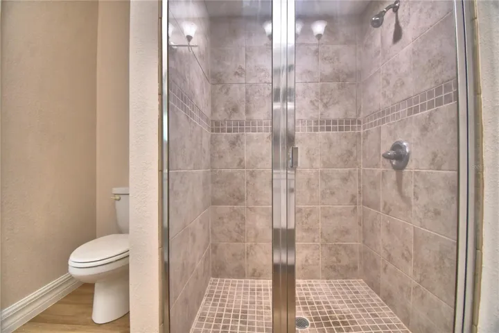 Primary bath toilet and shower