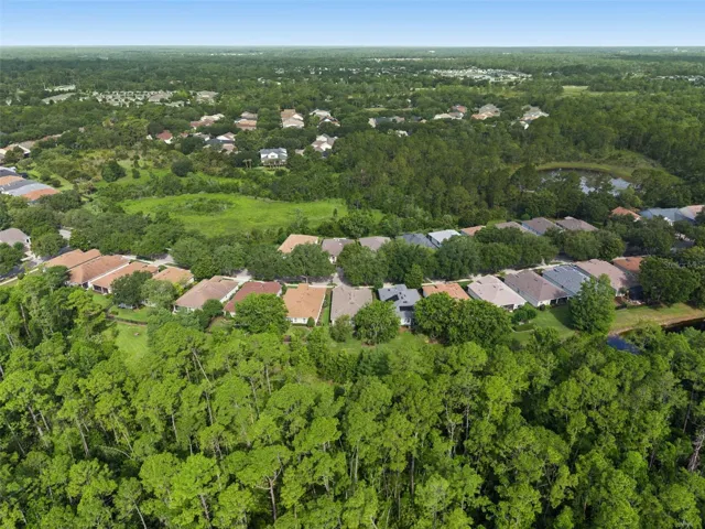 Aerial view from behind the home