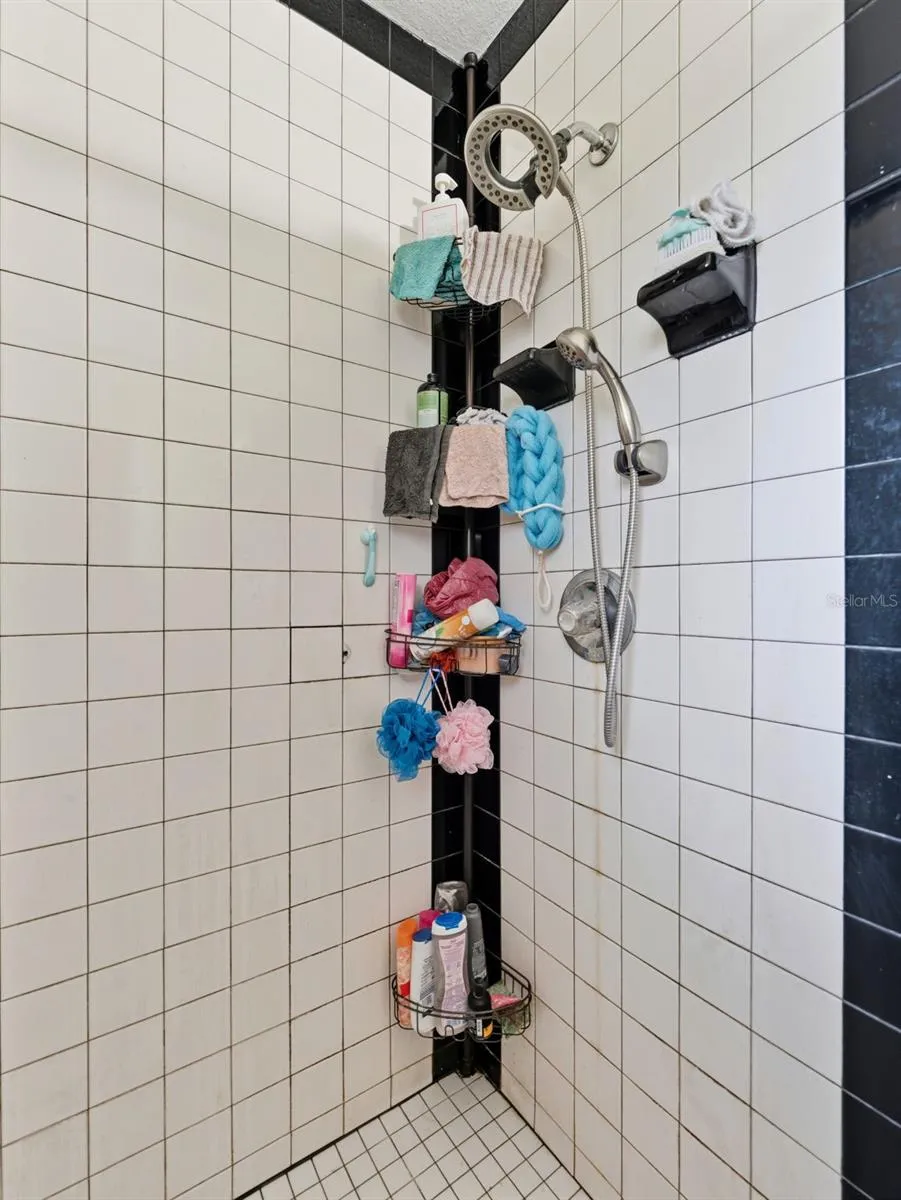 Primary Shower