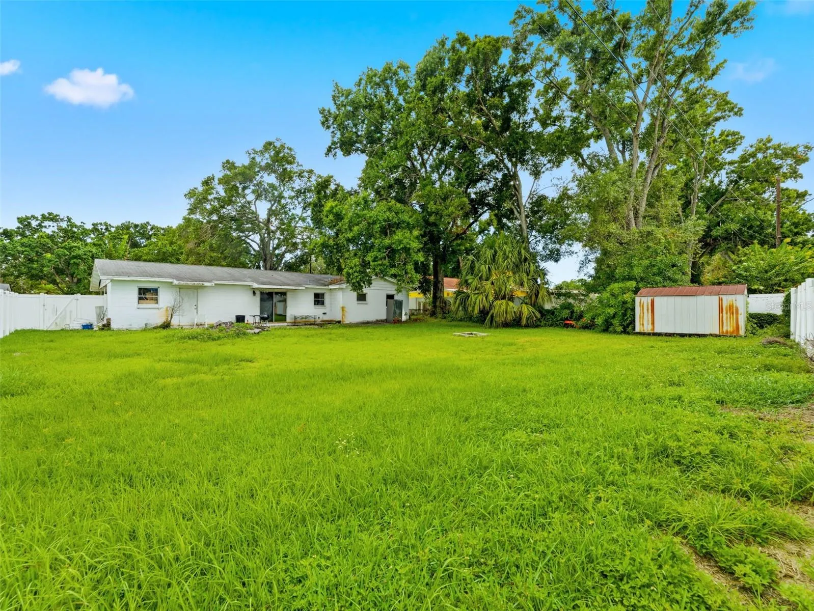 Open space in back yard