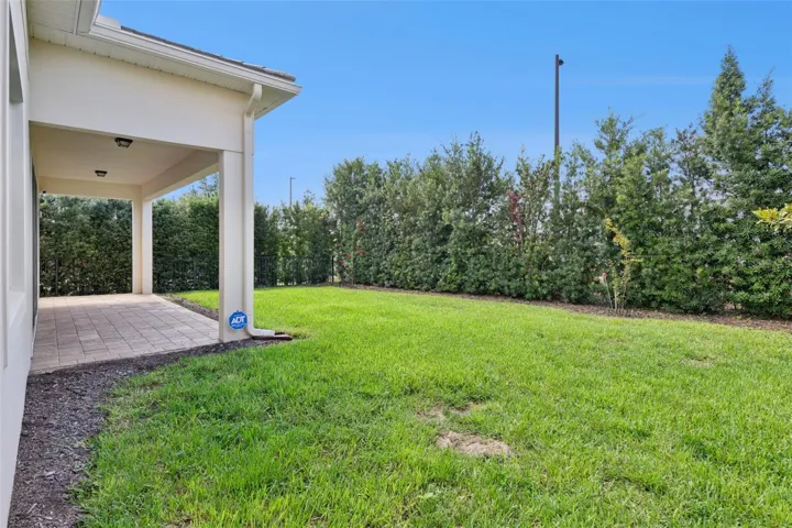 Backyard