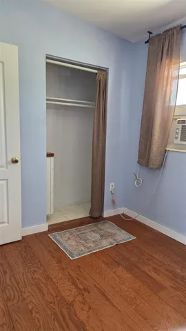 with closet and shelves