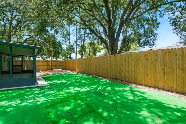 Backyard