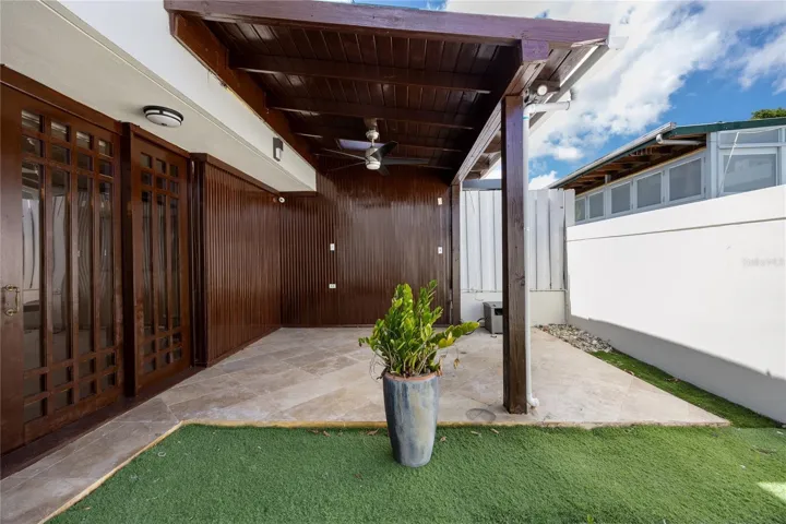 Backyard