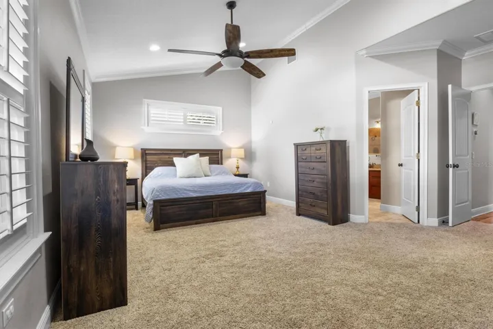 Primary Bedroom, high ceiling, walk-in closet, en-suite bathroom