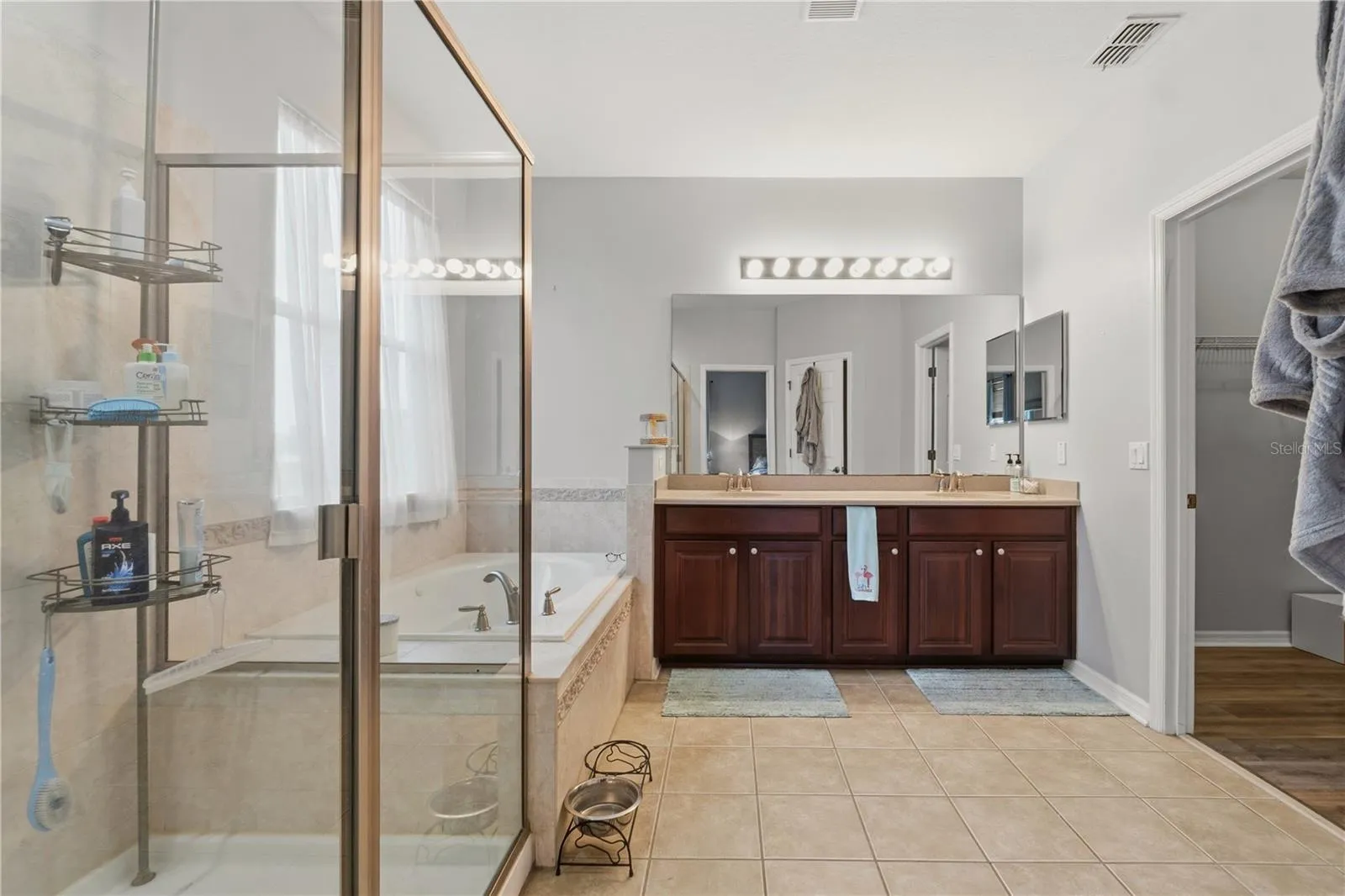 Master bathroom with walk in closet