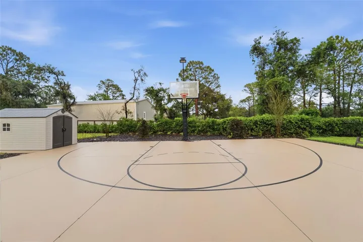 Basketball Court