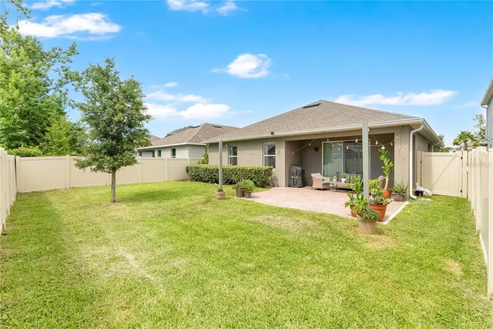 Large Fenced Backyard