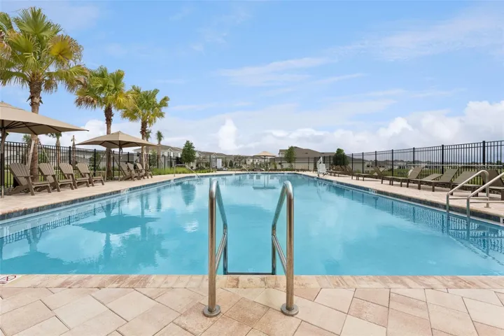 Lap Pool