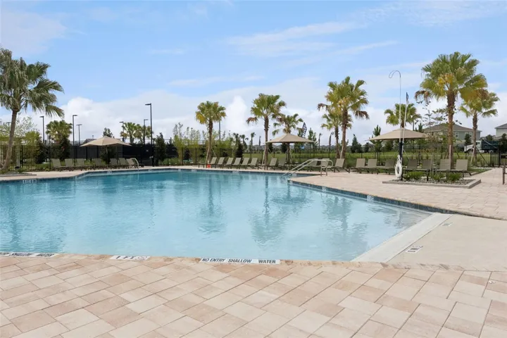 Lounging Pool