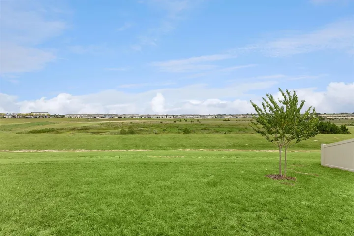 Backyard View