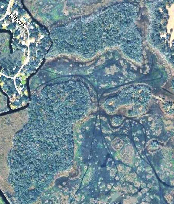 Ariel view of (about) 20 acre island on top and 54 acre island on bottom. Both are accessed from N Toro Drive