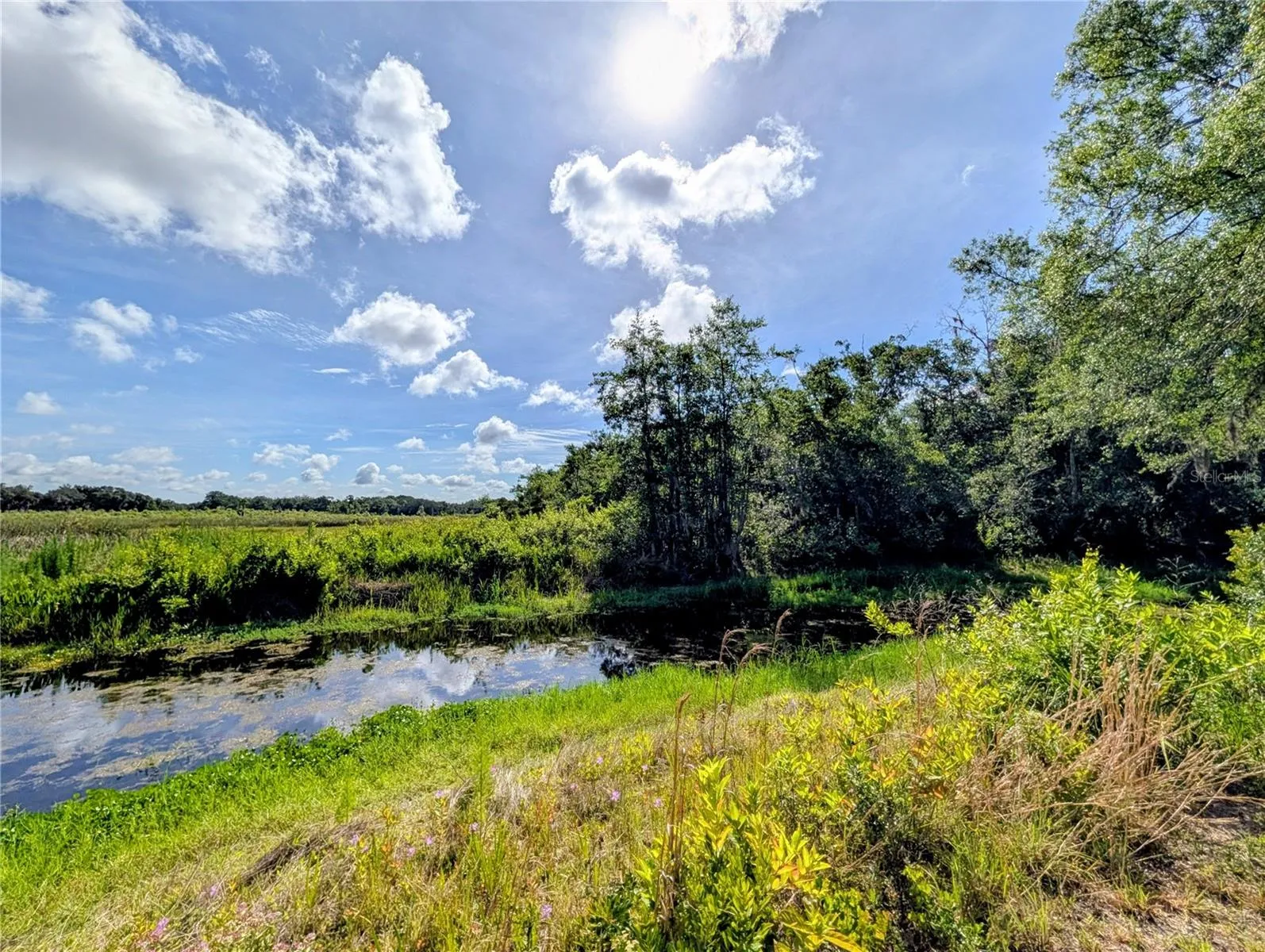 low water in dry month of June separates island of near 20 acres from mainland.