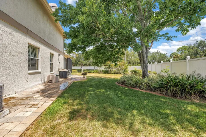 Side Yard