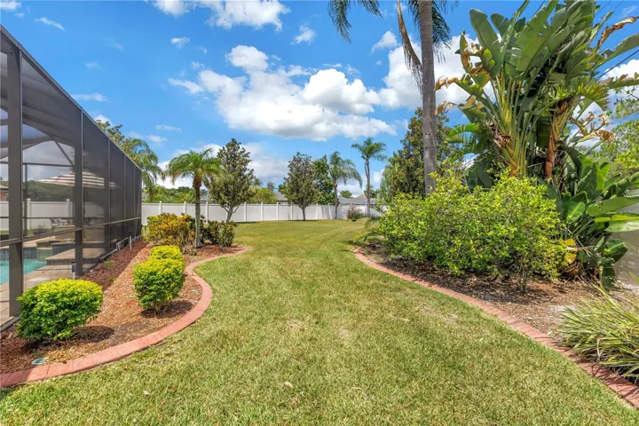 Side and Backyard