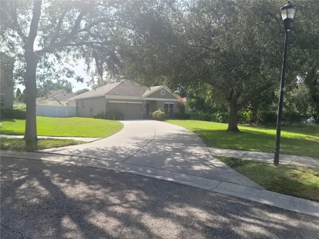 Driveway and front