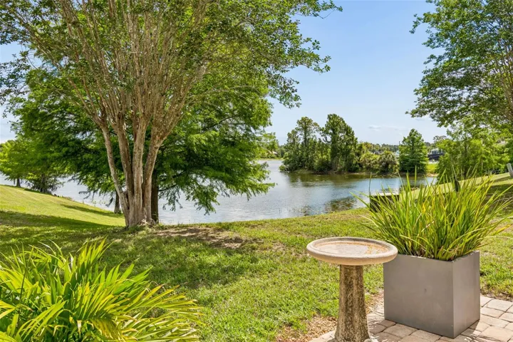 Pond view from back patio