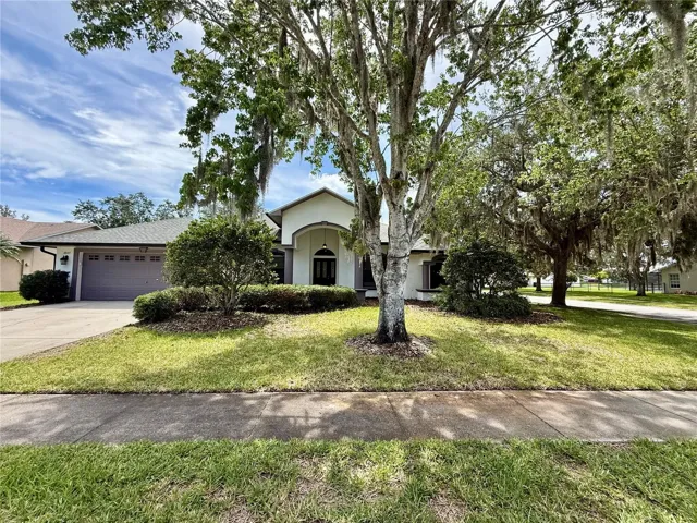 Front of the house