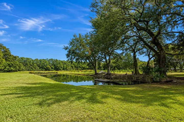 Tranquil pond setting featuring a charming dock.