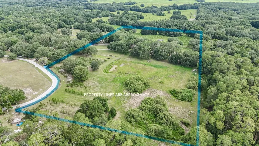 Fully fenced with 16.8 acres of unincorporated land.